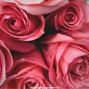 Meet your Posher, Nicole